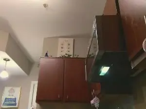 Cam4 Watch Live Sex Cams of PrincessCutzZz