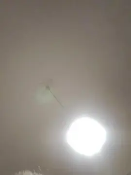 Cam4 Free Porn Cam of desideramitant5