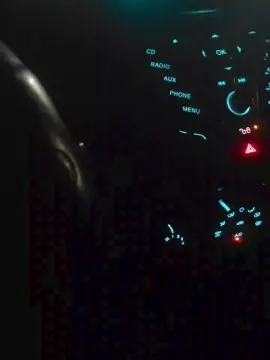 Cam4 Adult Webcam of eve821