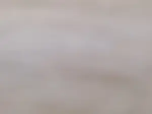 Cam4 Free Porn Cam of Elen_sweet