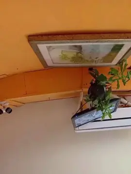 Cam4 Nude Webcam of Dubvibe