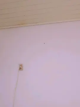 Cam4 Adult Video Chat of Bellaju