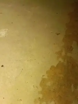 Cam4 Watch Live Sex Cams of pregnanhot