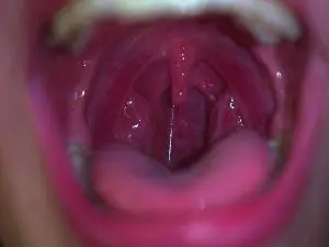 Cam4 Free Porn Cam of MaxineDeman