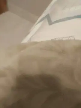 Cam4 Watch Live Sex Cams of Karine080606