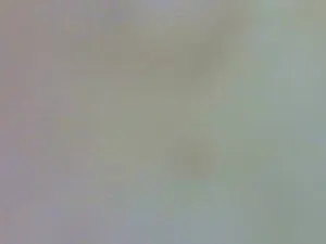 Cam4 Adult Webcams of koralineee