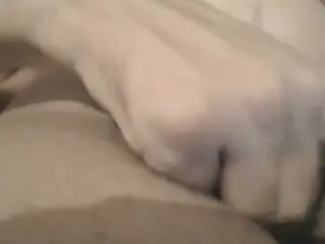 Cam4 Adult Webcam of kylabunny