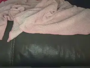 Cam4 Live Sex Cam of honeybee11
