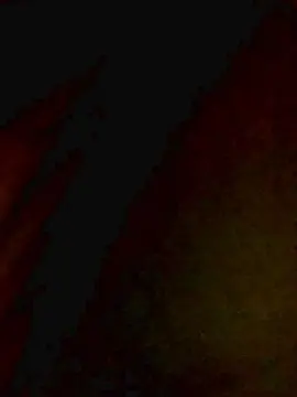 Cam4 Best Webcam of Heyde2026