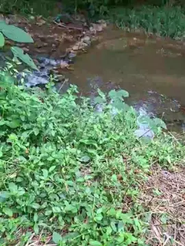 Cam4 Best Webcam of Tania__honey