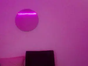 Cam4 Free Live Porn of zoe__baker