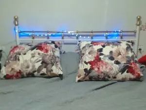 Cam4 Adult Webcams of Annelisejoy