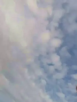 Cam4 Free Porn Cam of blgaucha