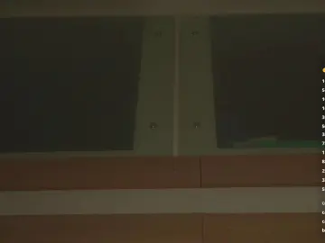 Cam4 Best Webcam of TierraCheck