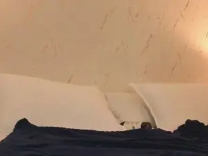 Cam4 Adult Webcams of AVA__BLUE