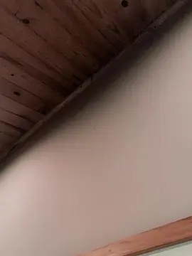 Cam4 Best Webcam of stecyy