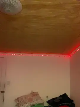 Cam4 Free Live Porn of lia264