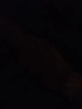 Cam4 Live Porn of Evamm84
