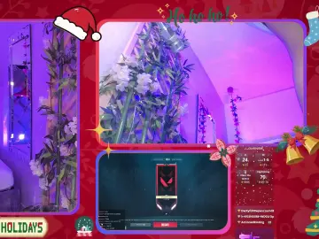 Cam4 Adult Webcam of CataleyaGlow