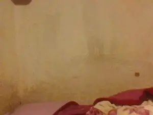 Cam4 Sex Chat of sexygirlove