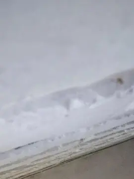 Cam4 Free Porn Cam of anamariaaran