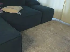 Cam4 Live Porn of ameliabiers