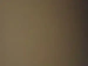 Cam4 Live Sex Cam of ElidaBaylon