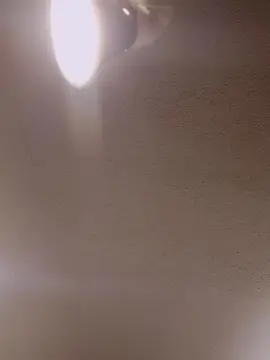 Cam4 Best Webcam of Plussizemodel