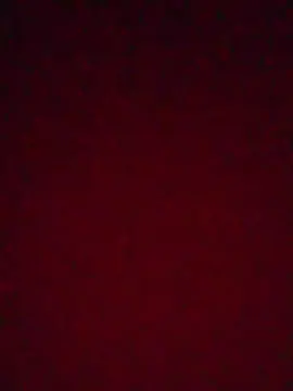 Cam4 Adult Webcams of Evelynsexy1