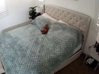Camsoda Live Porn of voyeurcam-whitneyoc-01