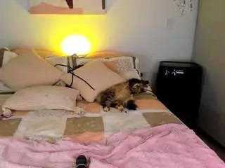 Camsoda Free Live Porn of ahinoaa
