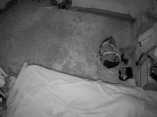 Camsoda Free Live Porn of voyeurcam-julmodels-whitebed-5