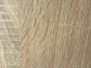 Camsoda Best Webcam of nofacemodel