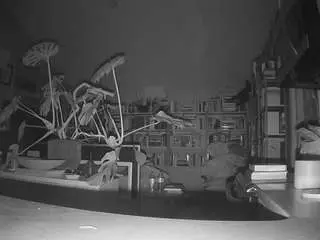 Camsoda Live Porn of voyeurcam-bridgetleewalters-02