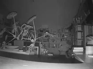 Camsoda Best live sex cam show of voyeurcam-bridgetleewalters-02