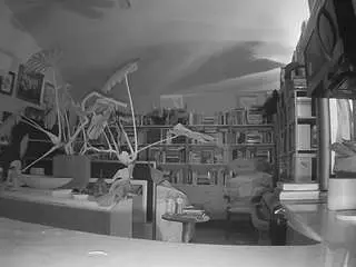 Camsoda Best live sex cam show of voyeurcam-bridgetleewalters-02