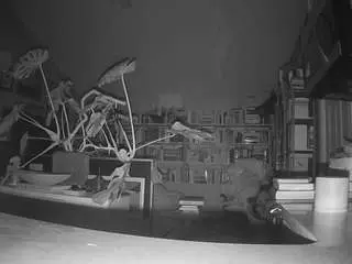 Camsoda Free Porn Cam of voyeurcam-bridgetleewalters-02