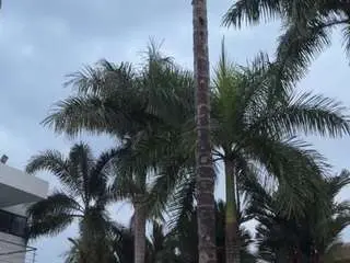 Camsoda Nude Webcam of viioletlover