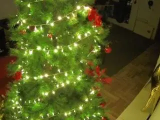 Camsoda Best Webcam of voyeurcam-julmodels-living-2