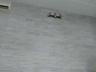 Camsoda Live Sex of jessybee