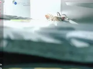 Camsoda Private Sex Chat of kinkyhousewifee