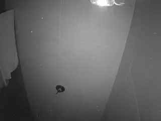 Camsoda Adult Webcams of voyeurcam-casa-salsa-bathroom-11