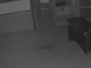 Camsoda Sex Cam of voyeurcam-casa-salsa-panoramic