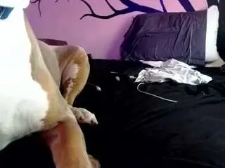 Camsoda Best Webcam of 1800fu