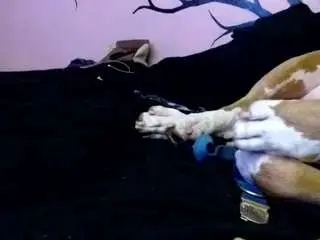 Camsoda Private Sex Chat of 1800fu