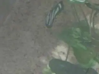 Camsoda Sex Cam of voyeurcam-casa-salsa-kitchen