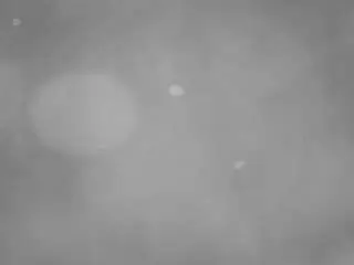 Camsoda Adult Video Chat of voyeurcam-casa-salsa-pool-1