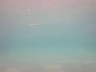 Camsoda Adult Webcams of voyeurcam-casa-salsa-pool-1