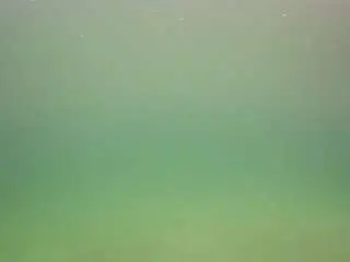 Camsoda Watch Live Sex Cams of voyeurcam-casa-salsa-pool-1
