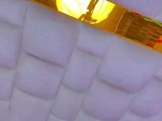 Camsoda Free Live Porn of bigassmonic